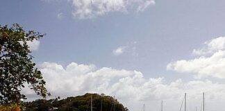 Botanic Garden Rangers vs Dark View Explorers