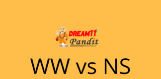 Western Warriors vs Northern strikers