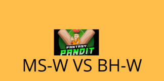 Melbourne Stars Women vs Brisbane Heat Women